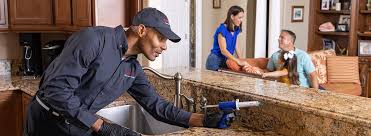 Best Termite Inspection and Treatment  in Celoron, NY